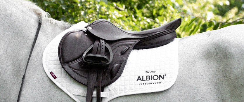 Albion Saddlemakers