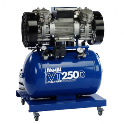 VT250D