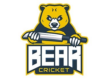 Bear Cricket Ltd