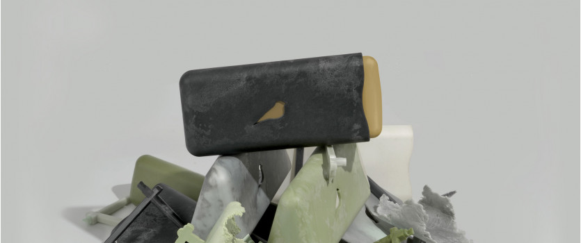 Bird Eyewear