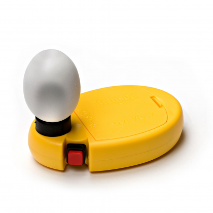 OvaView Egg Candling Lamp