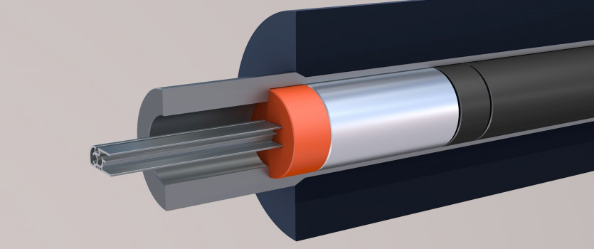 Capital Aluminium Extrusions Ltd