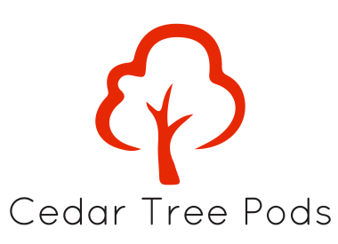 Cedar Tree Pods