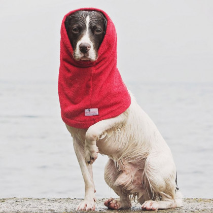 Red Snood by Dogrobes