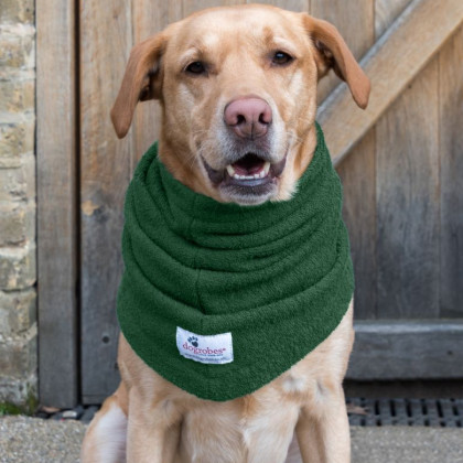 Green Snood by Dogrobes