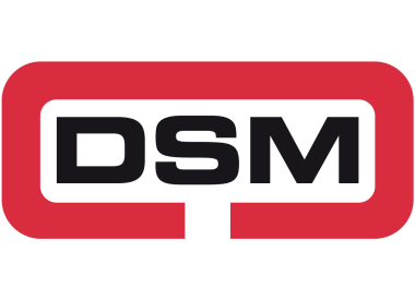 DSM Stainless Products