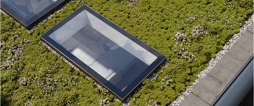 EOS Rooflights