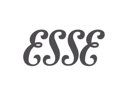 ESSE Engineering Ltd.