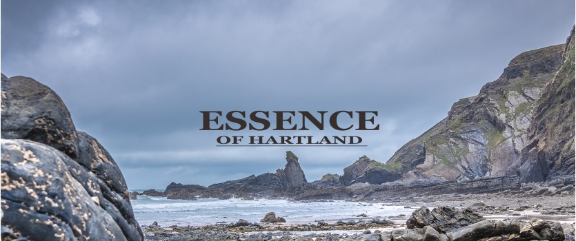 Essence of Hartland