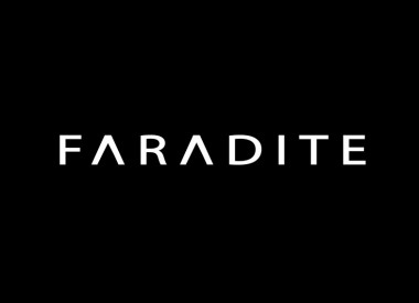FARADITE LTD