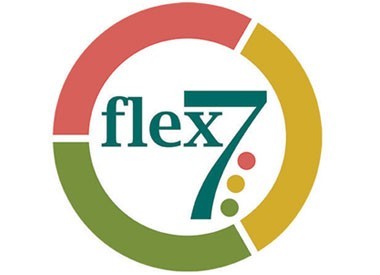 flex7 Ltd