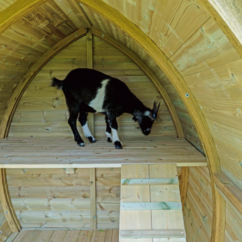 Arched Pygmy Goat Shelter Made In Britain