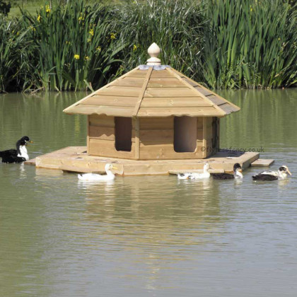 The Floating Duck Lodge