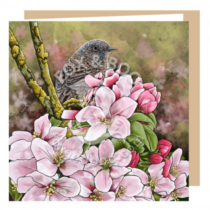 Spring Dunnock Greeting Card