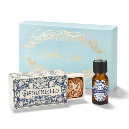 Pietrina Home Fragrance Diffuser Set