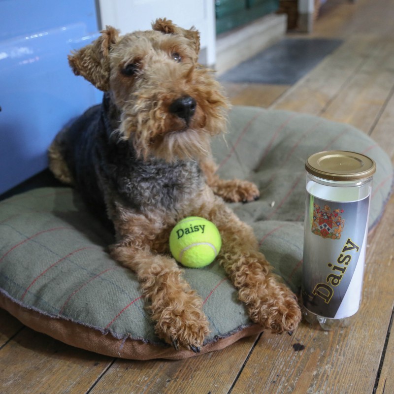 personalised dog tennis balls