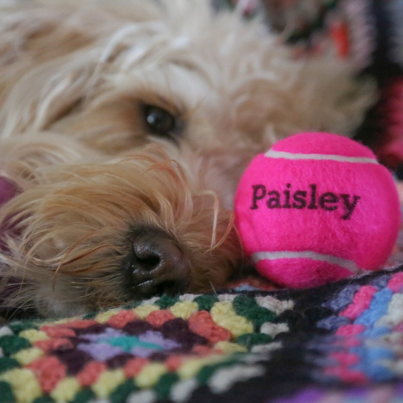 personalised dog ball