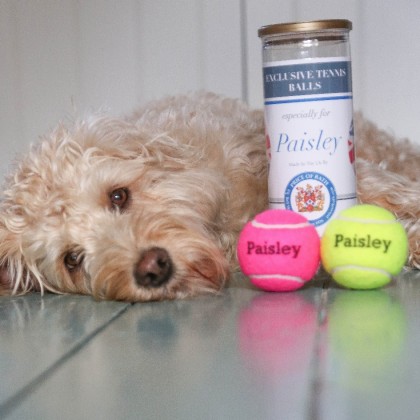 Personalised Coloured Dog Tennis Balls