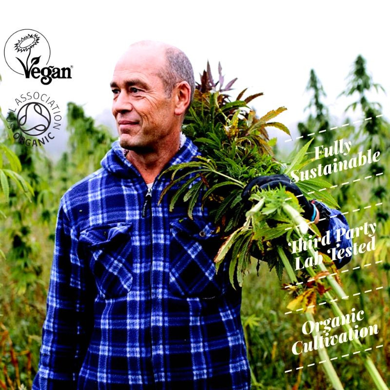 Organic Hemp Protein Powder Made in Britain