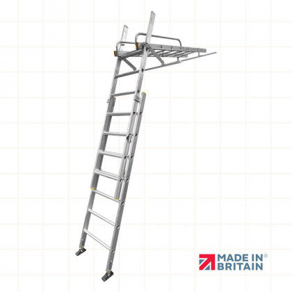LFI PRo Conservatory Ladder