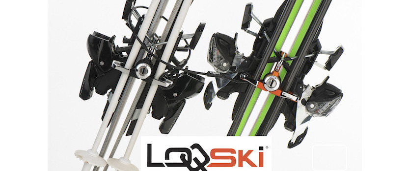 LOQSKI INTERNATIONAL LTD