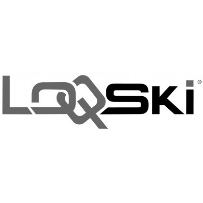 Ski & Pole Lock