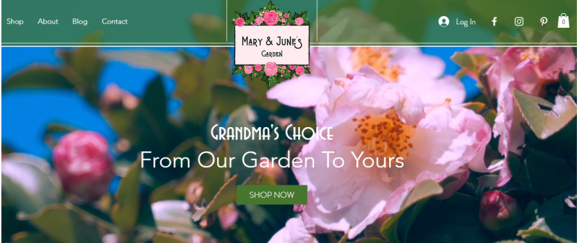 Mary and June's Garden