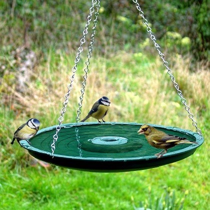 Bird Bath - Ref 390
