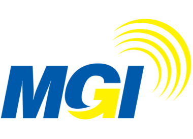 MG Industries Ltd