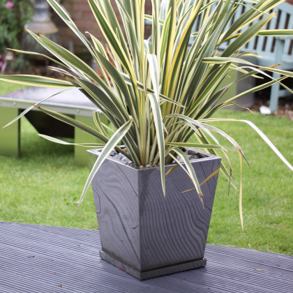 Stainless steel planter