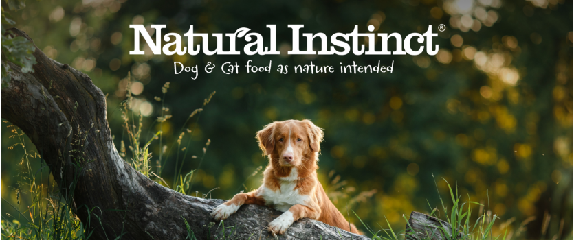 Natural Instinct Limited