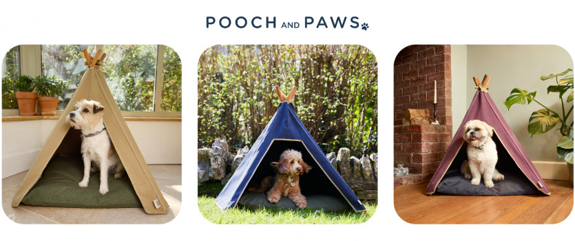 Pooch and Paws