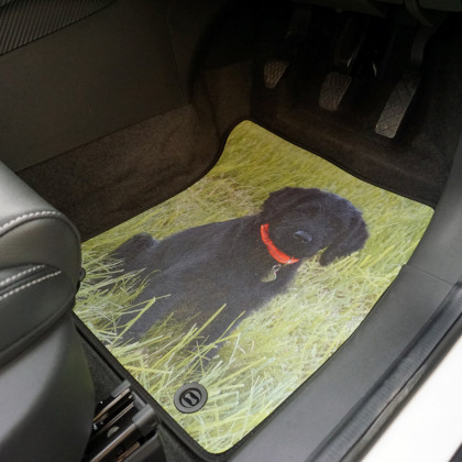 Fully Tailored Personalised Image Printed Car Mats