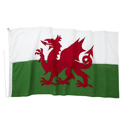Fully stitched and appliqued Welsh Dragon flag