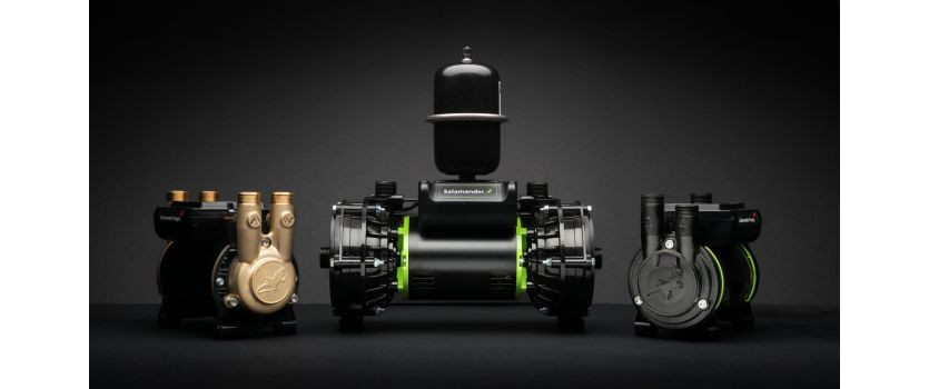 Salamander Pumps
