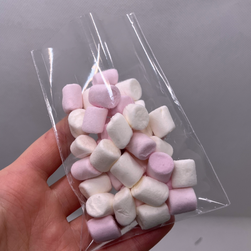 SustainaGift Clear Compostable Gift Bags Made in Britain