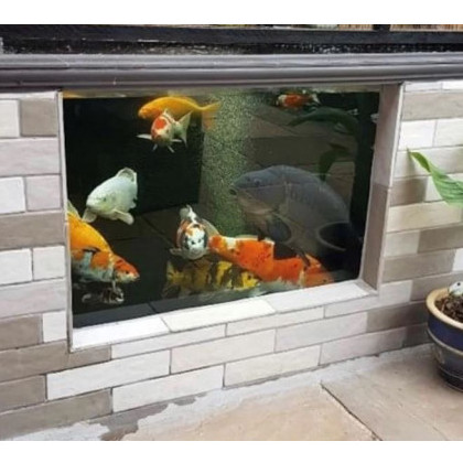 Toughened Koi Pond Glass