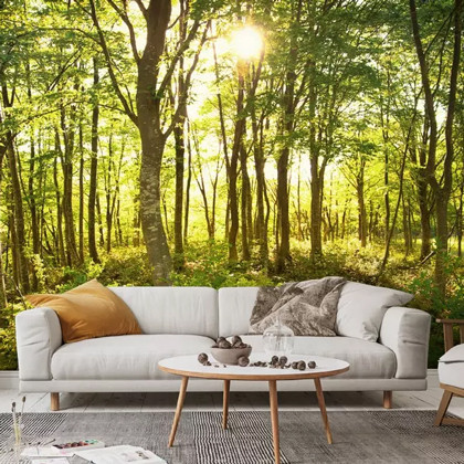 Enchanted Woodland Wallpaper Mural
