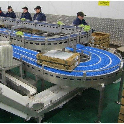 Stainless Steel Conveyor Systems