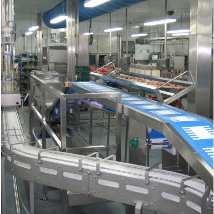 Food Industry Conveyor Systems